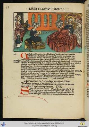 Liber X. De Anima et Potentiis Eiusdem.
