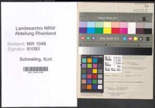 Entnazifizierung Kurt Schmeling , geb. 06.01.1909 (Bankkaufmann)