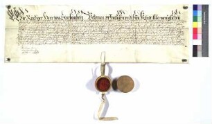 Rüdiger Herr zu Starhemberg auf Schönbühl, kaiserlicher Rat, verschreibt seiner Gemahlin Ottilia, geb. von Limpurg, 1000 Gulden Morgengabe, versichert auf allem seinem Gut.