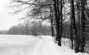 Klipphausen-Lampersdorf. Weg nach Taubenheim