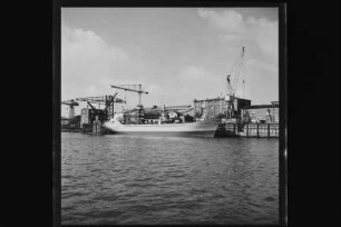 Silesia (1966), A. Ferdinand, Hbg
