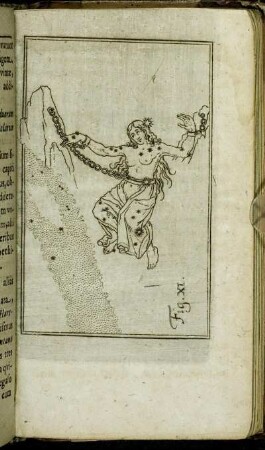 Fig. XI. - Fig. XII.