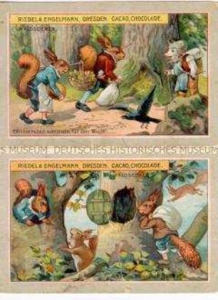 Sammelbilder der Serie "Waldsegen", mit Werbung für Schwerter-Kakao und Schokolade der Firma Riedel und Engelmann; um 1900