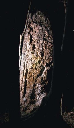 Oxpemul, Stela 11 (OXP: St. 11)