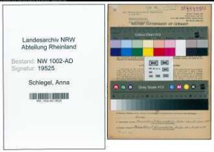 Entnazifizierung Anna Schlegel, geb. 09.01.1899 (Verw.Angest.)