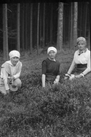 Frauen beim Beeren pflücken
