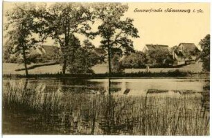 Schmannewitz. Teich