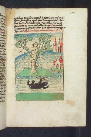 Der Affe im Feigenbaum und die Schlidkröte; (Kapitel VI): Von dem Affen und der Schildkröte)