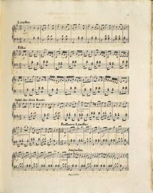 Großes Quodlibet : für Zither ; op. 41