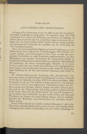 Fünftes Kapitel Jungtürken und Gross-Scherif