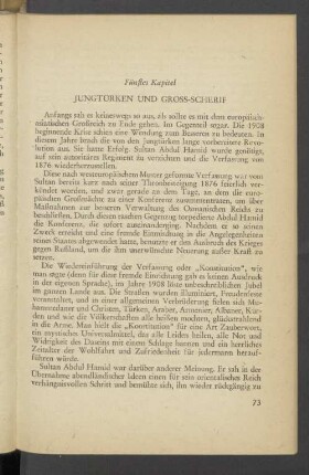 Fünftes Kapitel Jungtürken und Gross-Scherif