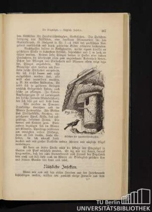 Nützliche Insekten.