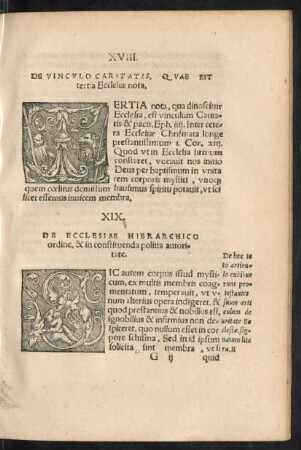XIX. De Ecclesiae Hierarchico ordine, & in constituenda politia autoritate.
