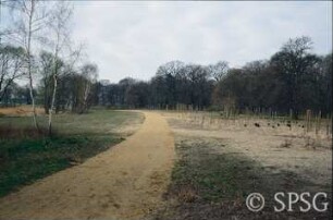 Potsdam, Park Sacrow, Gehölzpflanzung östlich der Heilandskirche.
