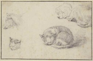 Schlafende Katze und Hund, ein Kuhkopf und ein Katzenkopf