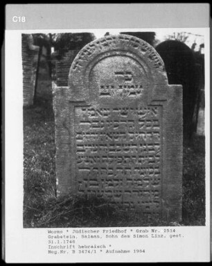 Grabstein von Salman Linz, Sohn des Simon Linz (+ 1746.01.31)