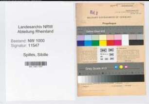 Entnazifizierung Sibille Spilles, geb. 14.07.1899 (Krankenpflegerin)