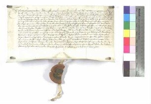 Verzicht Ulrich Hags gegen Kloster Wiblingen auf die Taverne zu Hüttisheim
