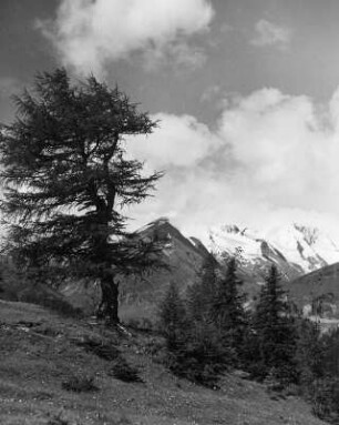 Kärnten. Blick von Südosten durch das Mölltal zum Großglockner