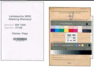Entnazifizierung Peter Detmer , geb. 11.02.1908 (Kaufmann)