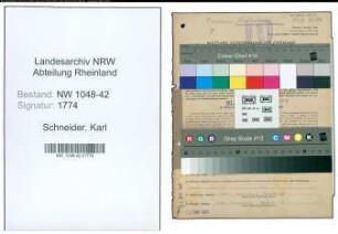 Entnazifizierung Karl Schneider , geb. 09.04.1901 (Buchhalter)