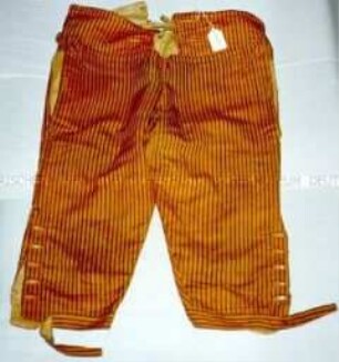 Hose (Anzug eines jungen Mannes, franz. Revolutionszeit)