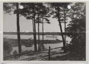 Geesthacht, Wald