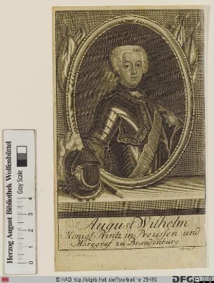 Bildnis des August Wilhelm, Konigl. Printz in Preussen