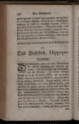 IV. Das Flußpferd, Hippopotamus.