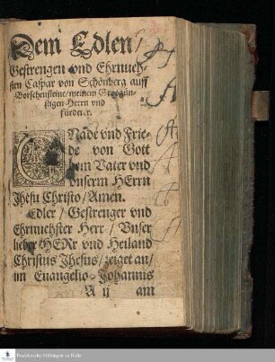 Der Christen Lustgarten : Darinnen die Artickel der Christlichen Lere, durch klare vnd deutliche Sprüche des alten vnd newen Testaments, ordentlich angezeiget werden