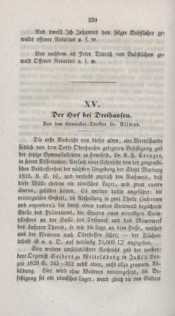 XV. Der Hof bei Dreihausen.