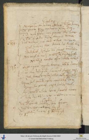 Handschriftliche Erasmus- und Ovid-Zitate