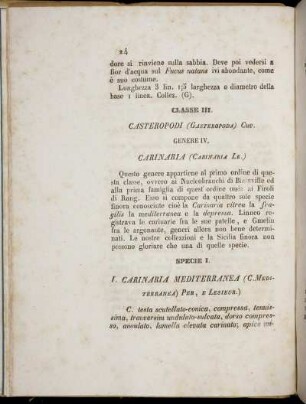 Classe III. Casteropodi (Gasteropoda) Cuv.