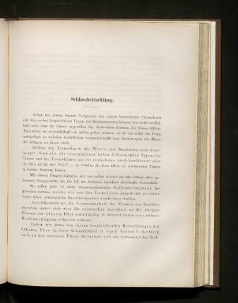 Schlussbetrachtung.