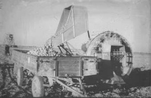 Fotografie: Erntetechnik, Kartoffel, Kartoffelvollernter, Be- und Entladen, Zweiachsanhänger