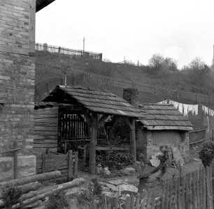 Backhaus