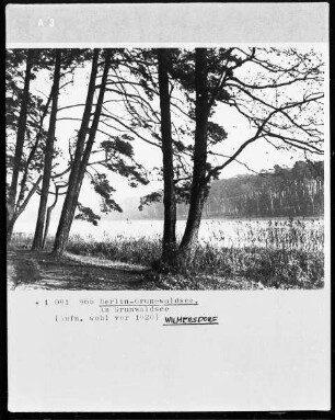 Am Grunewaldsee in Berlin-Grunewald
