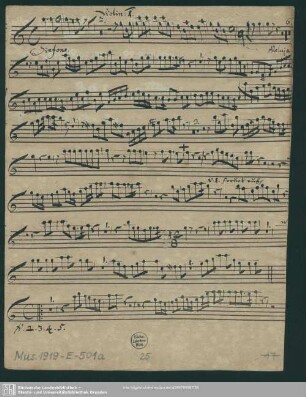 Violin[o]: 1.