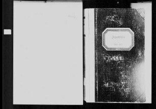 Zuzenhausen, evangelische (lutherisch, reformiert) Gemeinde: Standesbuch 1803-1835