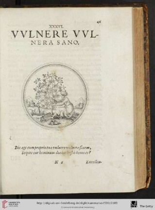 XXXVI. Vvlnere Vvlnera sano