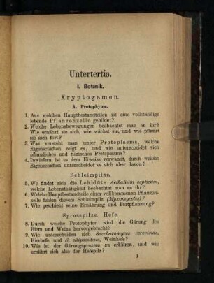 Untertertia