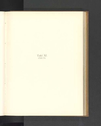 Tafel XI. (Tafel II.)