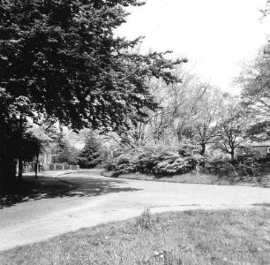 Cottbus-Spremberger Vorstadt. Eichenplatz. Rondell von Südost