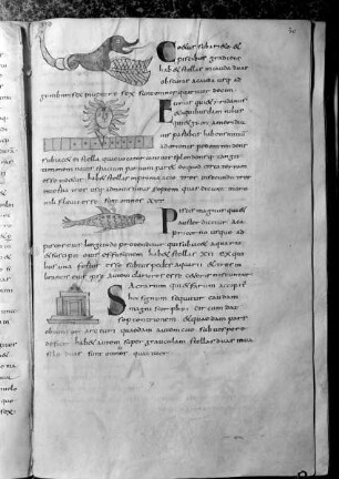 Isidorus Hispalensis, De natura rerum, Etymologiae (lib. 3, interpol.); Computus (1-72r); Isidorus Hispalensis, Sententiae (73v-93). — Sternbilder, Folio fol. 20r