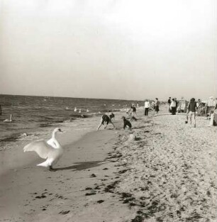 Insel Poel-Timmendorf. Strand mit Spaziergängern und Strandkörben