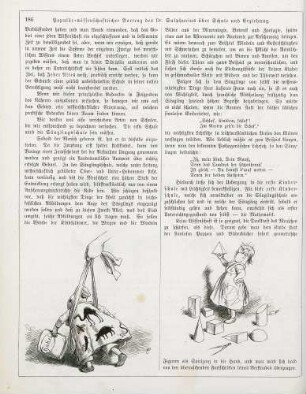 "Populär-wissenschaftlicher Vortrag des Dr. Sulphurius über Schule und Erziehung"
