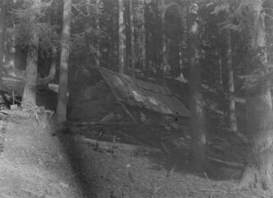 Hütte im Wald : Blicka auf eine Hütte im Wald
