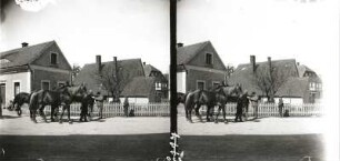 Seifhennersdorf. Pferdemusterung auf der Leutersdorfer Strasse