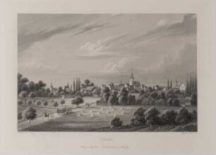 Lübben: Stadtansicht von Süden (Brandenburgisches Album, Blatt 51)