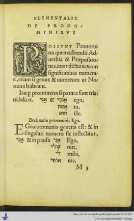 De Pronominibus